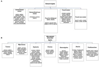 Presenting Patterns of Genetically Determined Developmental Encephalopathies With Epilepsy and Movement Disorders: A Single Tertiary Center Retrospective Cohort Study